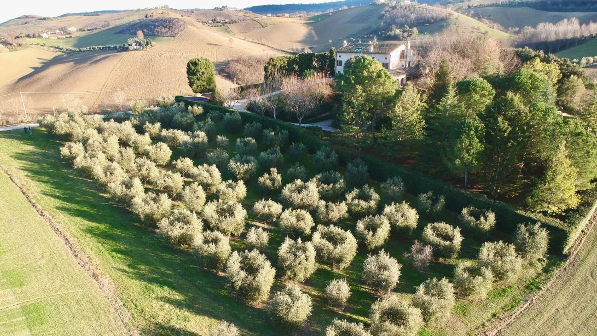 Monterosato Country House Ponzano di Fermo Екстериор снимка